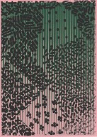 http://www.daniel-bischoff.net/files/gimgs/th-89_Riso 079 79 x 112mm.jpg